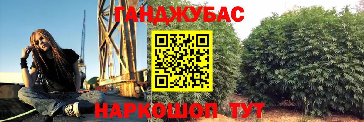 Бошки Шишки семена Волоколамск